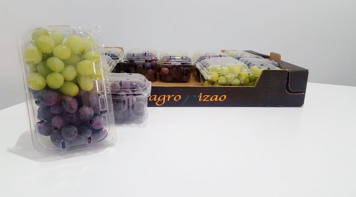 AgrorizaoSL's tweet photo. 🍇😋 Aquí te presentamos la combinación perfecta para disfrutar de los #saboresdelverano en su justa medida. 
Consume #frutasdetemporada son muchos sus beneficios para tu #salud y ayudáis al desarrollo sostenible 😋🍇 https://t.co/sYqK72mcEt