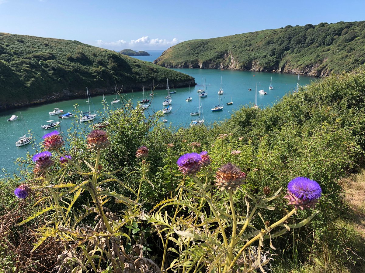 Greetings from Sunny Solva. Back home in West Wales and visiting some of my old haunts. If there’s a more beautiful place on planet Earth, I’m yet to find it.