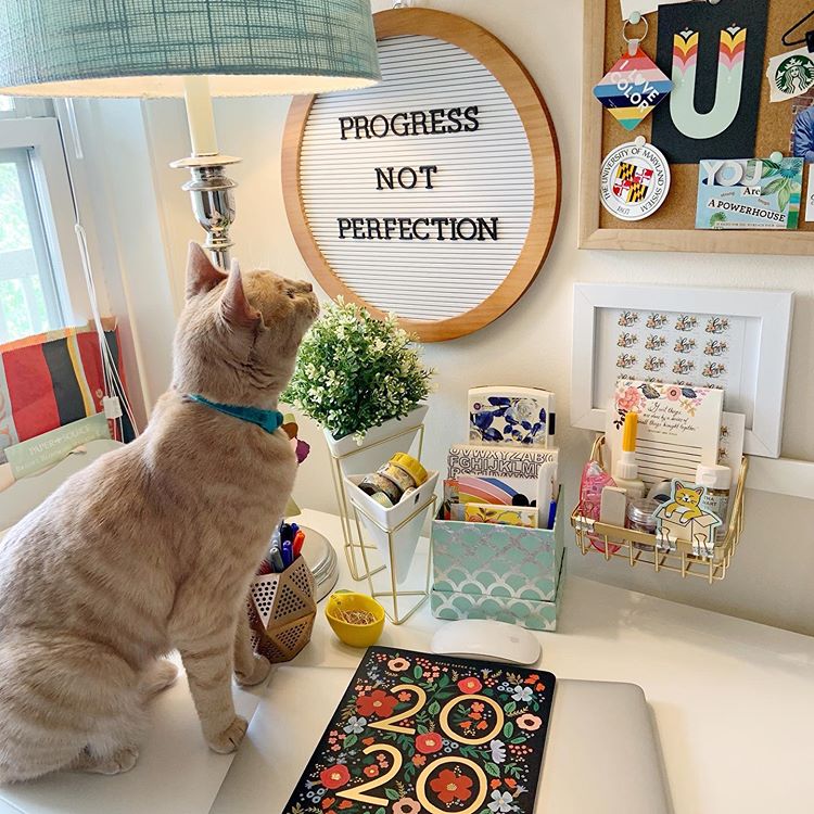 Paper_Source's tweet photo. Can't everyday be #InternationalCatDay with a desk buddy like this? Check out our Instagram stories to see how you can get #deskie ready &amp; the great things happening at your local store this weekend!

#FridayFeature #dormlife #officespace #deskgoals #catsofinstagram #papersource https://t.co/duvb5ixkOL