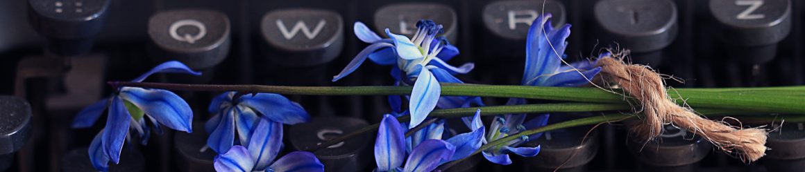 _EvelynMDuffy's tweet image. Very excited for the liveliness and inclusiveness the plus size @canweallgo stock photos bring to @proofreadbride, my side project for proofing wedding paper goods! 

theproofreadbride.com