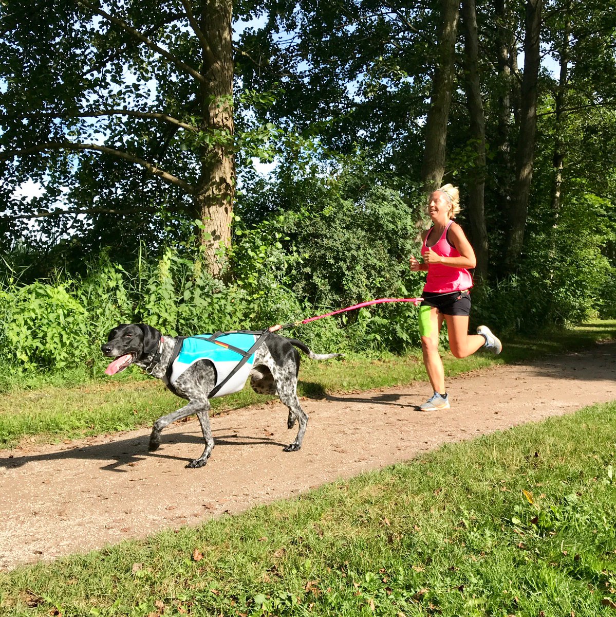 kiesseeparkrun's tweet photo. Fun fact zum Wochenende: In englischsprachigen Ländern werden Hunde beim #parkrun übrigens #barkrunner genannt. 🐶🏃‍♀️ 🌳🏃‍♂️☕️🧡

#dfyb #liebeparkrun https://t.co/u2d54zs16R