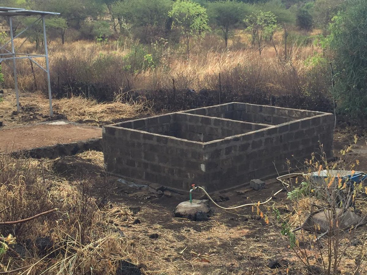 The fish are on their way!! 🐠😃
Thanks to our amazing donors, we have just launched our fish farm at the Sikizana Trust Rescue Center, which we will be visiting in just two weeks. Thank you to all who made this possible! 
#TGE #sustainability #fishfarming #impact #helpforgood