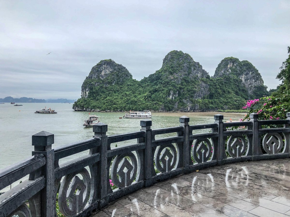 #VacationCreation tweet media