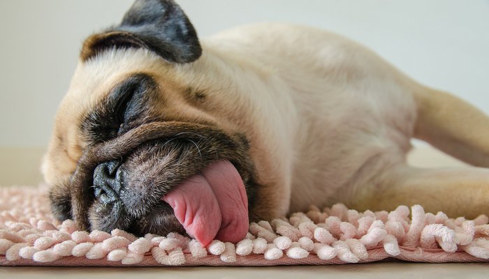 AstoriaTower's tweet photo. Tomorrow is National Lazy Day! 😴 Make sure to spend it wisely and enjoy an afternoon nap or binge a new show on Netflix! 🛋️ https://t.co/MalYXMKXEG