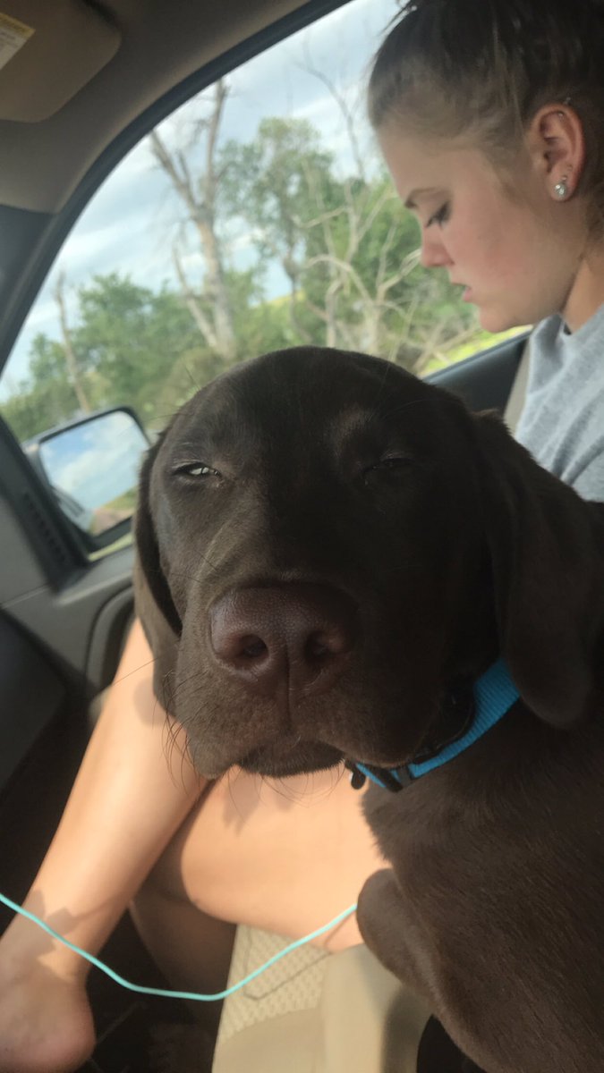 BruinsmaLandon's tweet photo. When you get asked if you want to have premarital sex. https://t.co/EQABg36YOs
