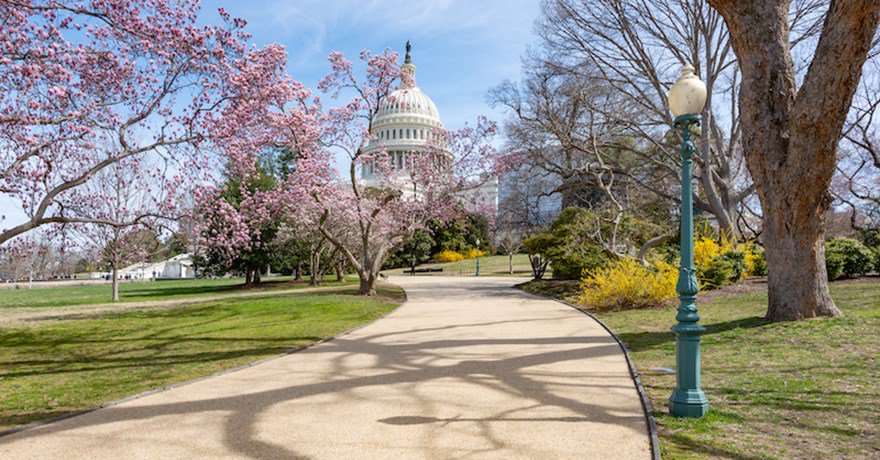 railstotrails's tweet photo. If you care about the future of #trails, walking and #biking in America, here's what you need to know: https://t.co/S3fTPrVLSF.
#TrailsTransformUS #transportationbill https://t.co/RZFj9OOF0c