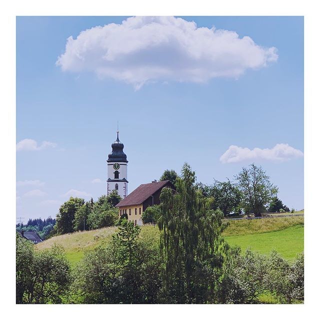 12:25 and a sad tree 😩 #blackforest #germany #hiking #walk #travel #nature #village ift.tt/2MRiUt1