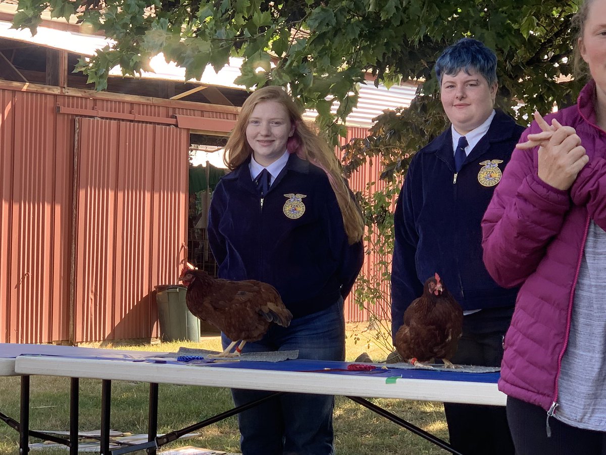 Carpenter72's tweet photo. HBHS FFA members Amber-Sky and Annalees did great in Poultry Showmanship, Herdsmanship and all Eggs entered received blue ribbons. https://t.co/kh4hKYLDJE