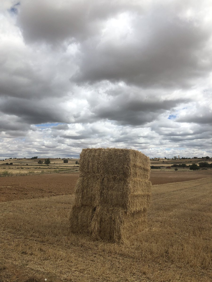 Mar Rominguera tweet media