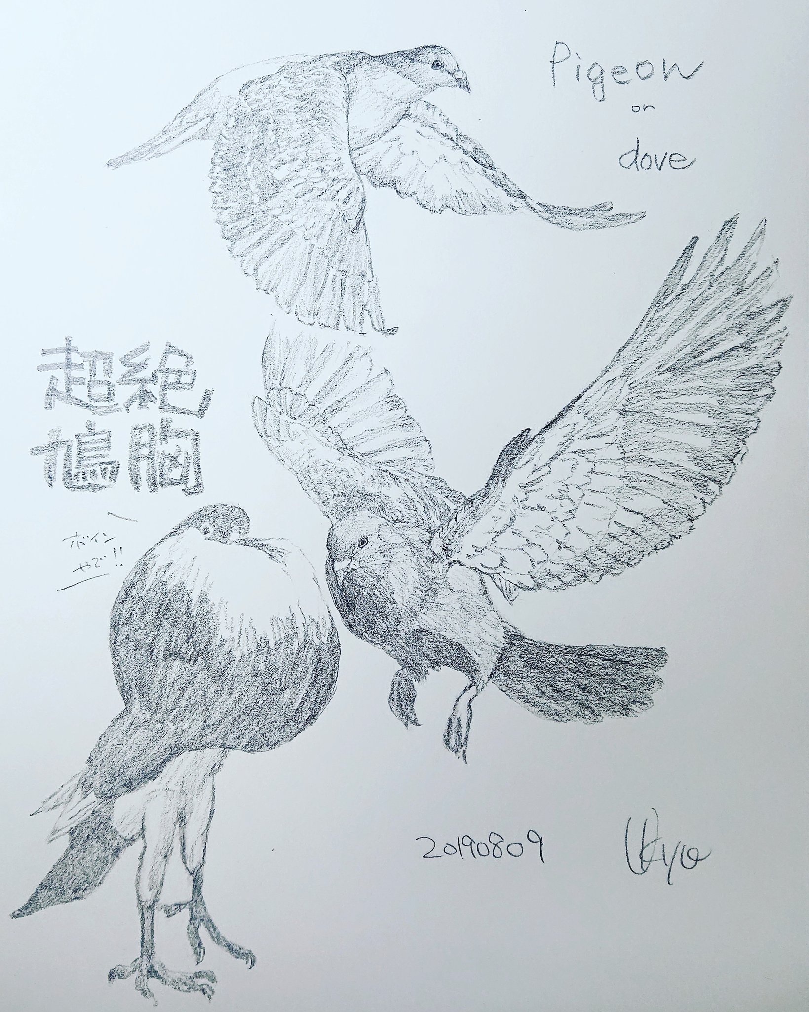 Kagetsu Ukyo 卯京 華月 V Twitter 今日の落書き 鳩づくし 平和の象徴が最後にはボインになりましたスミマセン W 落書き 鉛筆画 練習 素描 一日一絵 今日の落書き 絵描き Art 絵描き人 絵描きの輪 絵描きさんとつながりたい イラストの森