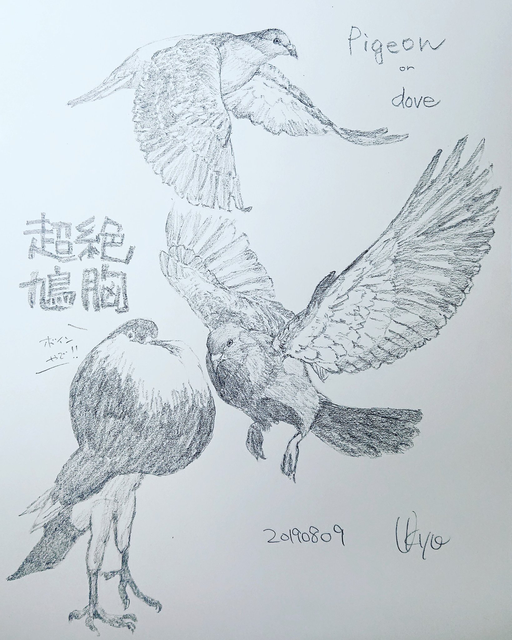 تويتر Kagetsu Ukyo 卯京 華月 على تويتر 今日の落書き 鳩づくし 平和の象徴が最後にはボインになりましたスミマセン W 落書き 鉛筆画 練習 素描 一日一絵 今日の落書き 絵描き Art 絵描き人 絵描きの輪 絵描きさんとつながりたい イラストの