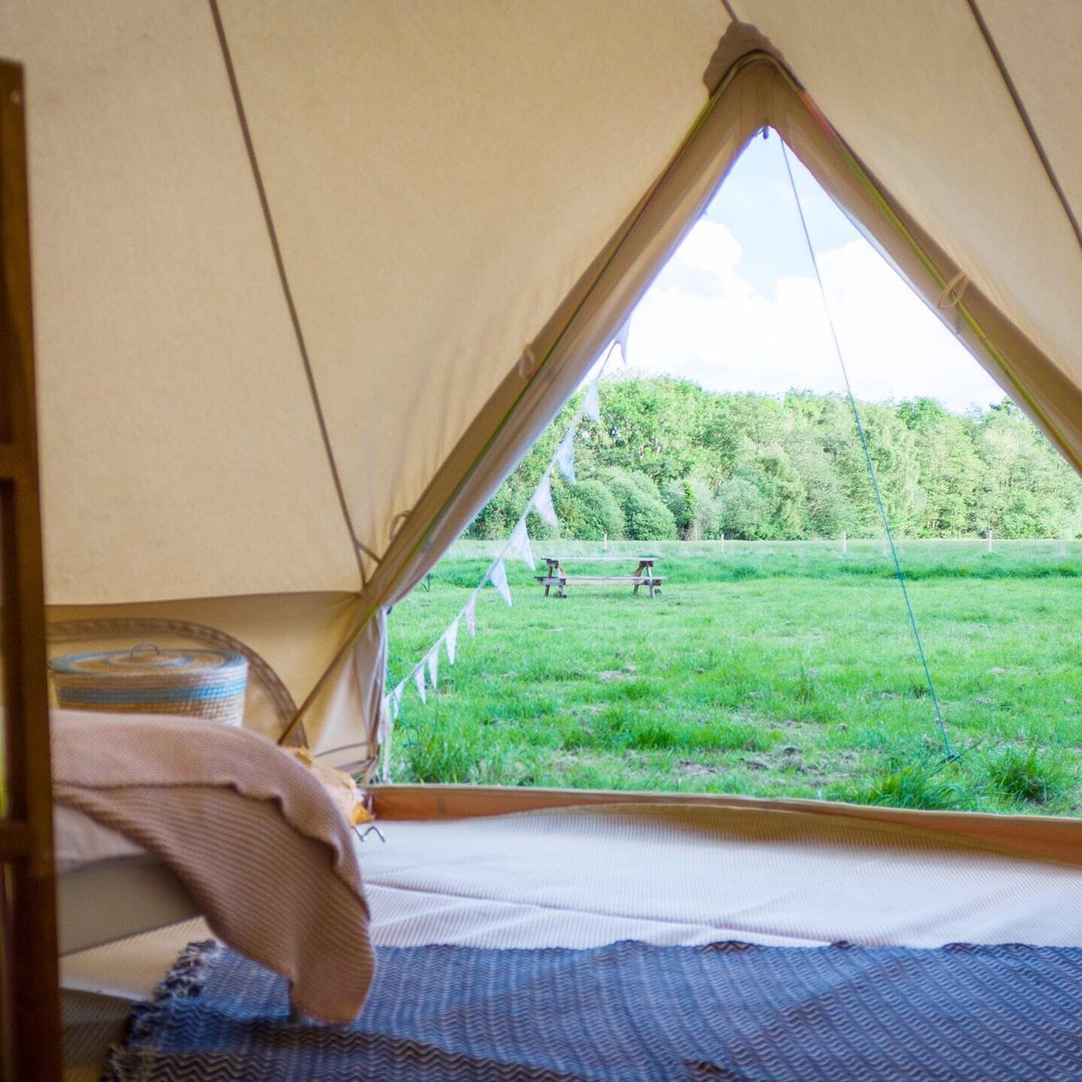 CampingCanal's tweet photo. A room with a view? 🌳🌿We’ve got just the thing.👌 #roomwithaview #glampingnotcamping #norfolkglamping https://t.co/ch6NZBROYJ