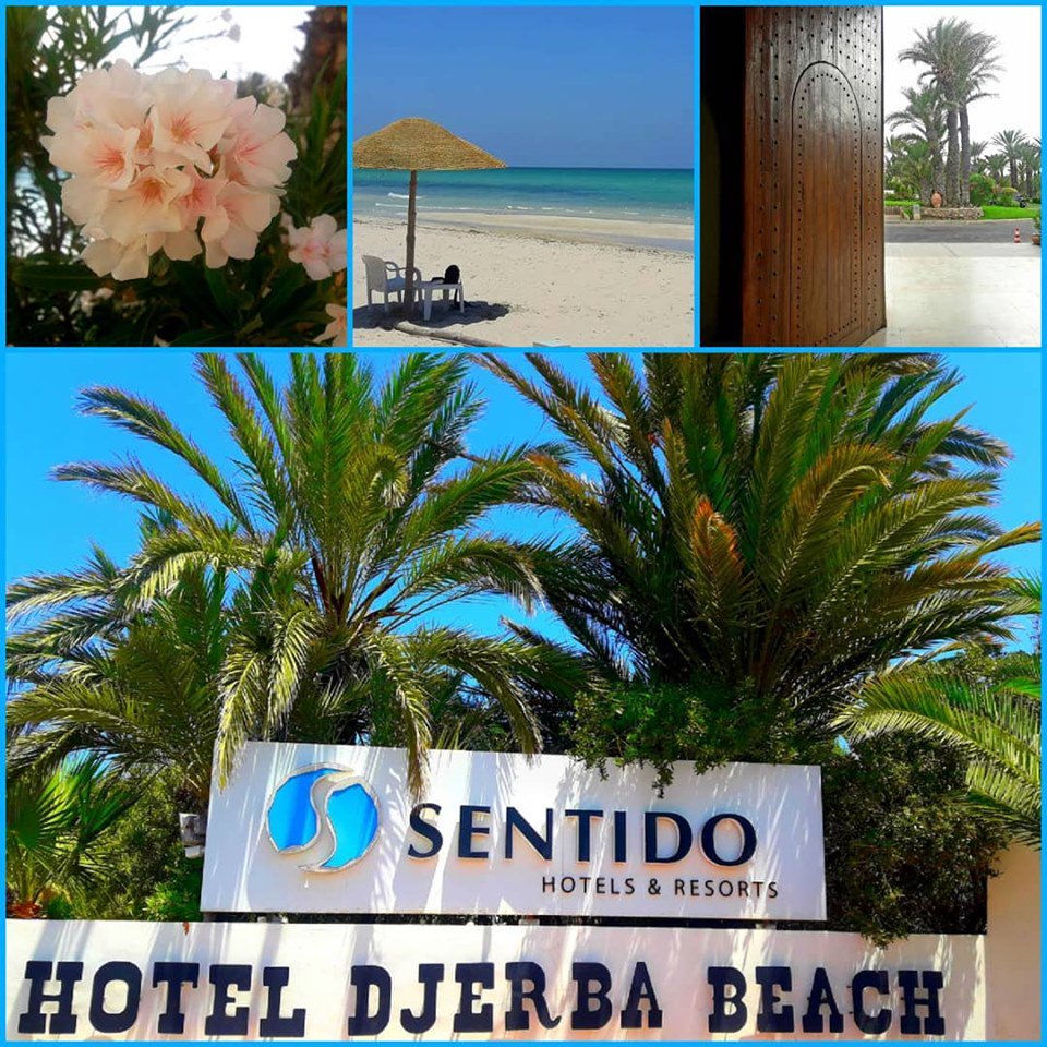 DjerbaBeachHtl's tweet photo. #SentidoDjerbaBeach wünscht allen schönes Wochenende
#SentidoDjerbaBeach vous souhaite un bon week-end
#SentidoDjerbaBeach wishes you all a nice weekend https://t.co/PhRmzALbrj