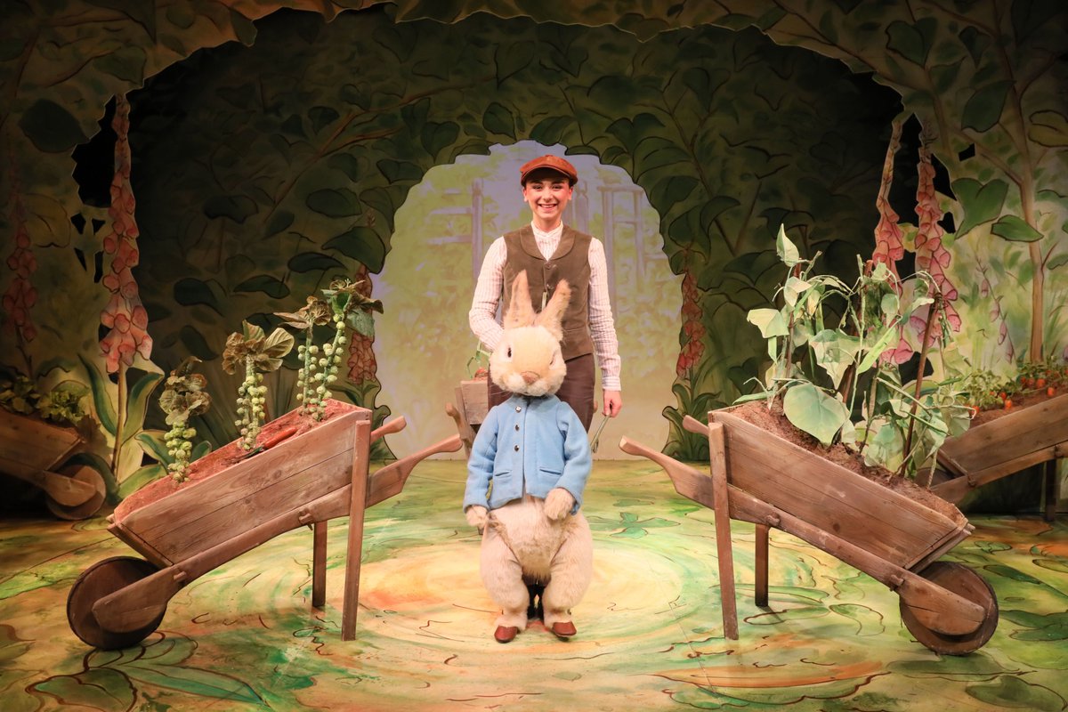 PeterRabbitLive tweet media