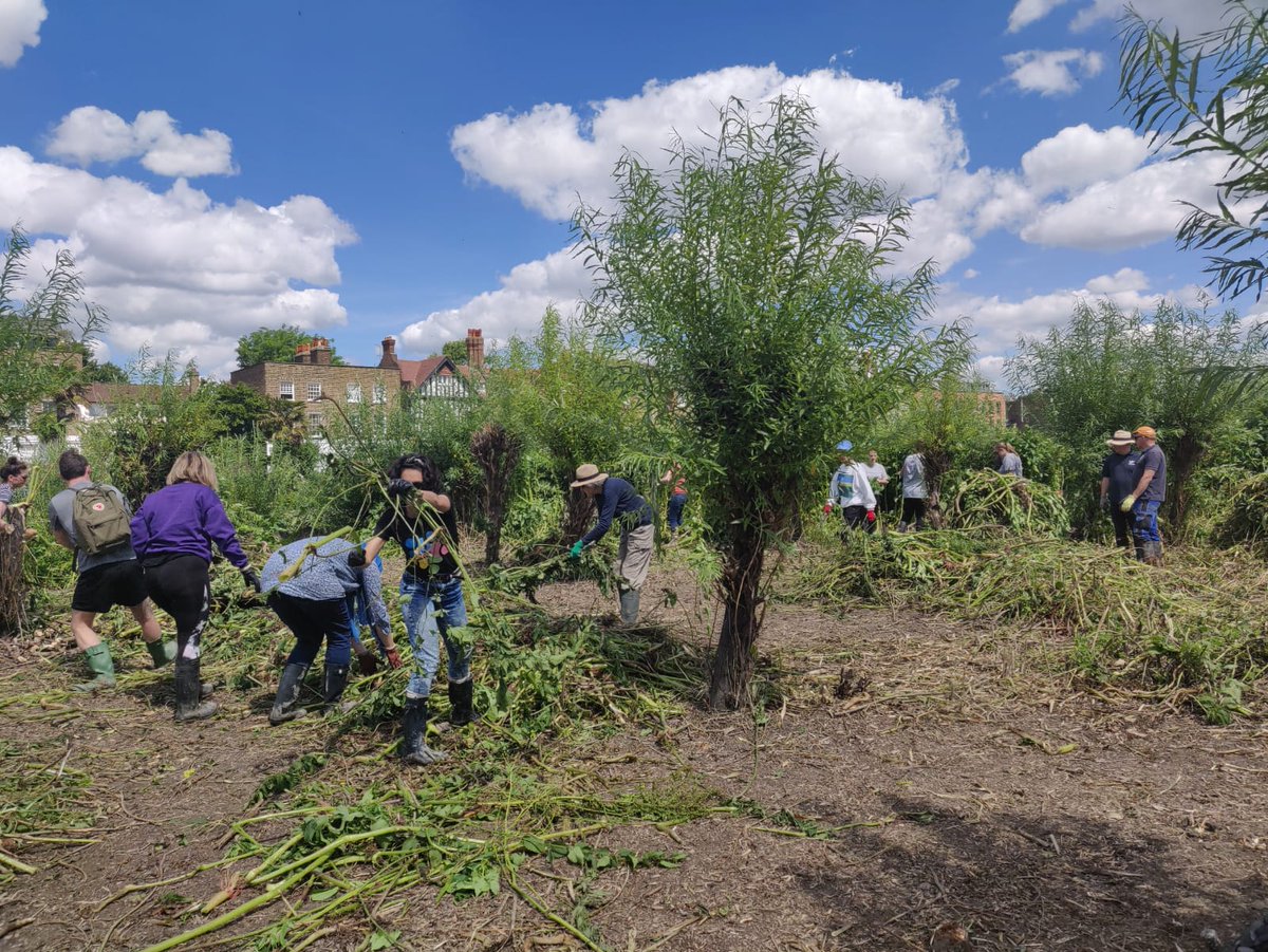 Are you in London and free on Saturday 17th August? You could volunteer at the @Thames21 Habitat Conservation & Maintenance Day. 
Find out more: indigovolunteers.news/London-Conserv… 
#volunteer #volunteerinlondon #charity #helpothers #londonevent #conservation #environment #nature