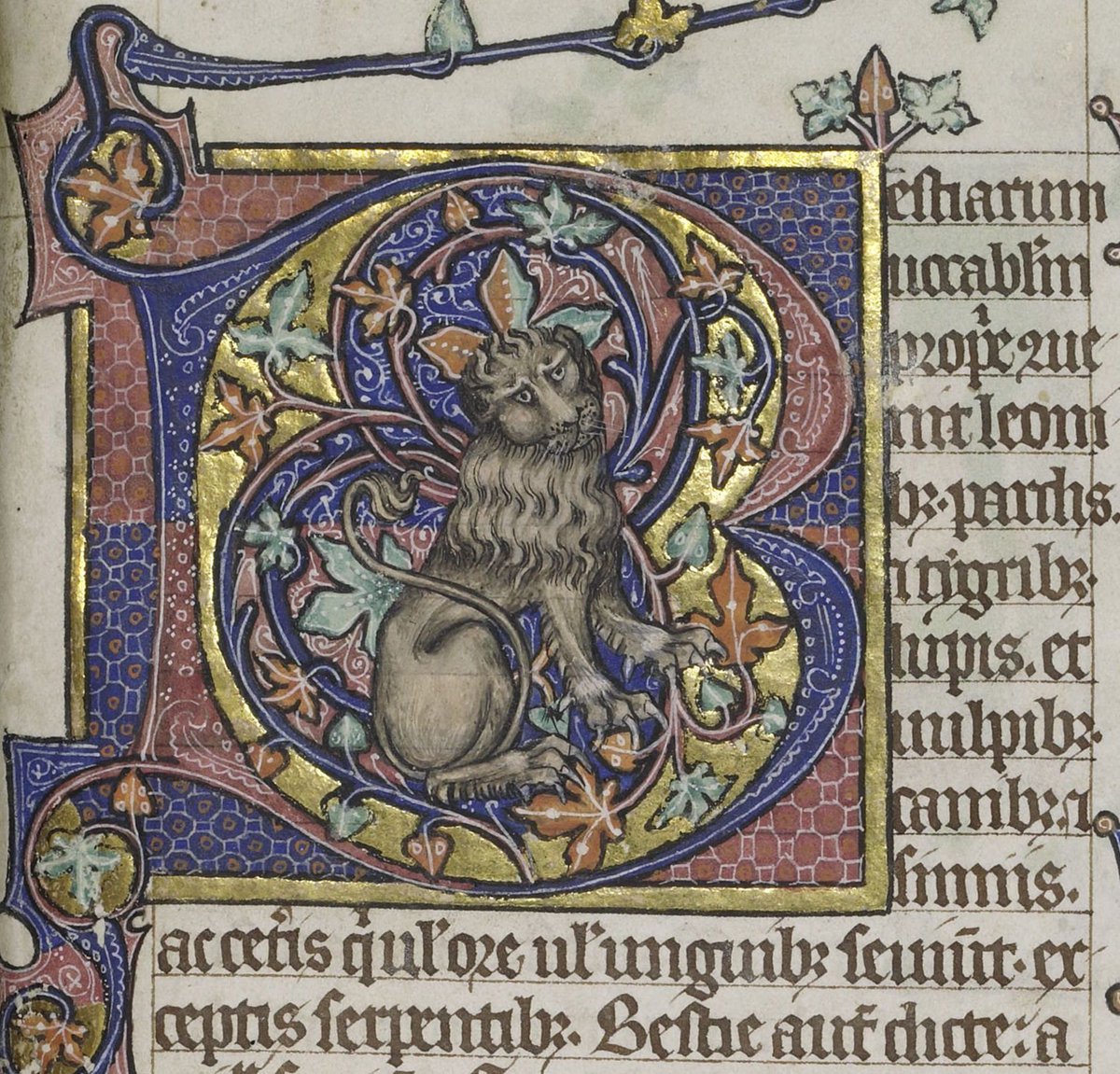 Krakenberger's tweet photo. ¡Feliz Día Internacional del Gato a todos los gatunos y gatuna! 🐱Ilustración de una inicial miniada espectacular en el Salterio de Peterborough (Manuscrito #CCCC53 conservado en la @ParkerLibCCCC https://t.co/aeJuhldToP