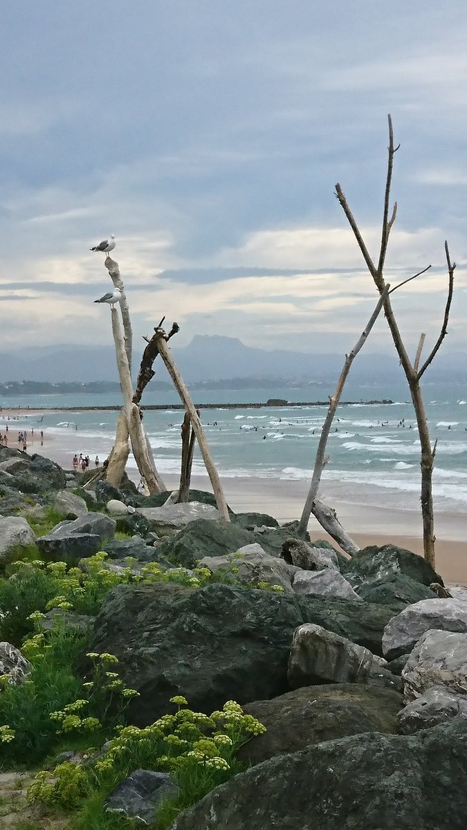 Calticom64's tweet image. Les vigies du bout du monde ! #CôtedesBasques #Biarritz
