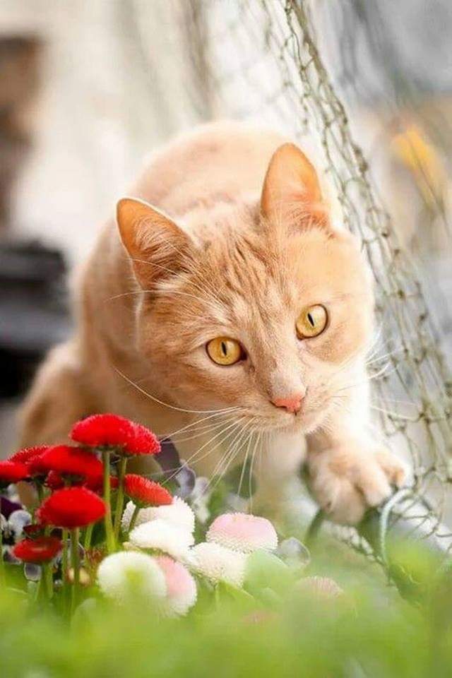titekriss's tweet photo. 💛💜💛💜 https://t.co/OW9FU6McqW