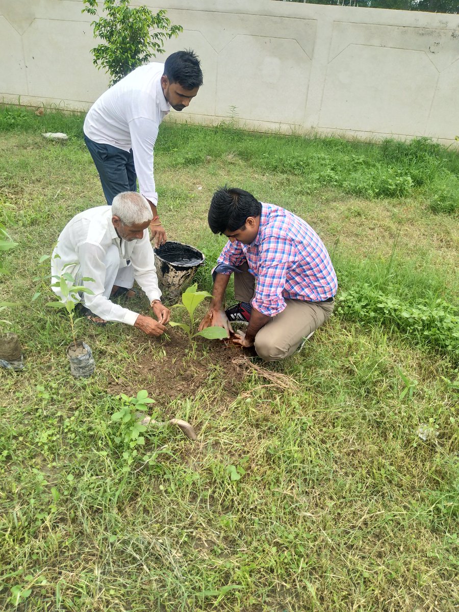 EDSDUPEDA's tweet photo. उप केंद्र धनपुरा  अंतर्गत विद्युत वितरण उपखंड  उपेड़ा पर वृक्षारोपण करते हुए https://t.co/e32OmNfbLP