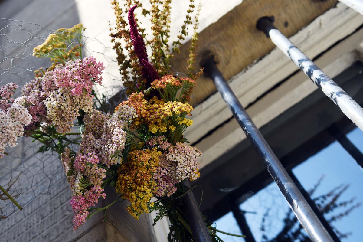 customhsleith's tweet photo. More photos of 'Sixth', a beautiful floral art installation by @pyrusbotanicals here at Custom House for @EdArtFest - stop by this weekend to see it! #leith #floralstylist #visualart #publicart #pyrusstudio #edinburgh #customhouseleith #flowers #pyrus #visualartists #customhouse https://t.co/4FkCgtZKt2