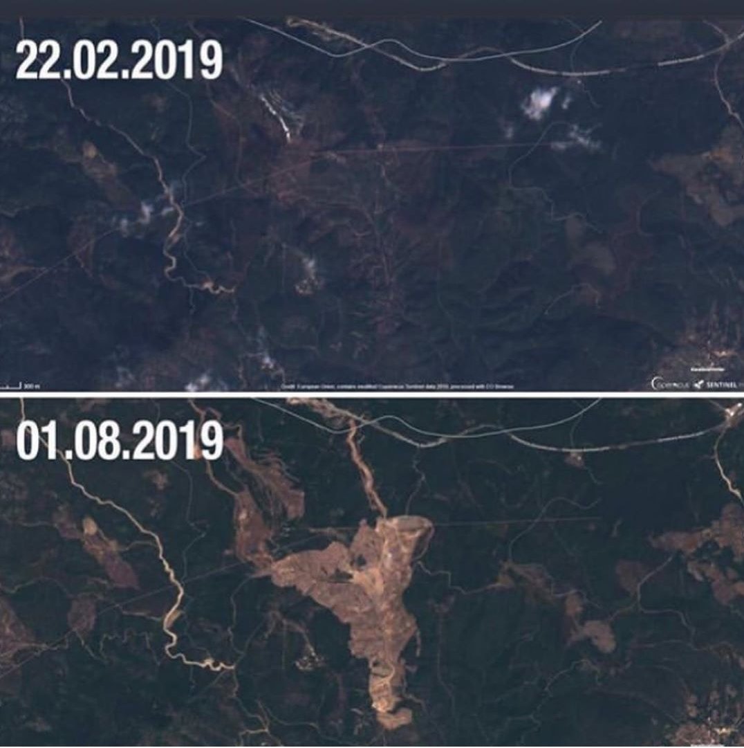 tomrisgurkara's tweet photo. I am asking  @JustinTrudeau that if your forest be cut down as in Turkey what would you do?    

@JustinTrudeau ye şunu soruyorum. Ormanlarınız Türkiyedeki gibi kesilmiş olsa ne yapardınız?

#AlamosGoldCanada https://t.co/UDlXXfG02K
