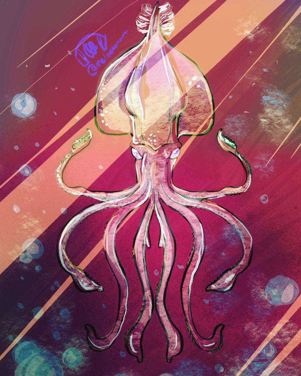 melodeonart's tweet photo. Squid 🦑 #squid #art #Procreate #digitalart #artwork #artist https://t.co/pLx4QovSVP
