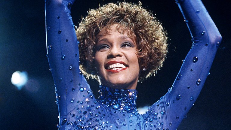 dw0403's tweet photo. #HappyBirthdayWhitney 💜 https://t.co/DapADmI99P