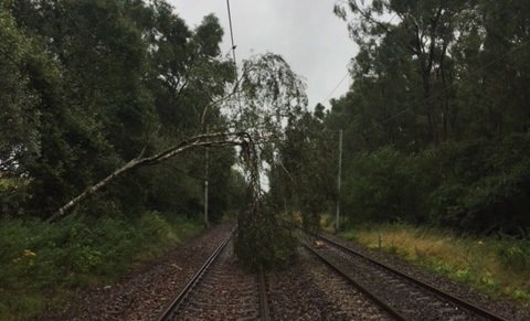 Network Rail Scotland tweet media