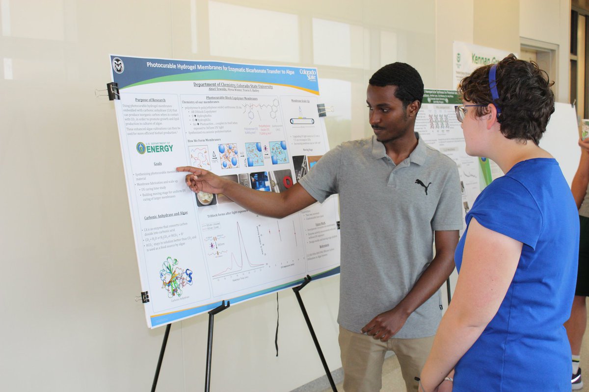 csu_chemistry's tweet photo. See the full album of the #REU and #CCLEAR #PosterSession on our facebook at: https://t.co/3mCbpwiP1q https://t.co/dBzBvJlfza