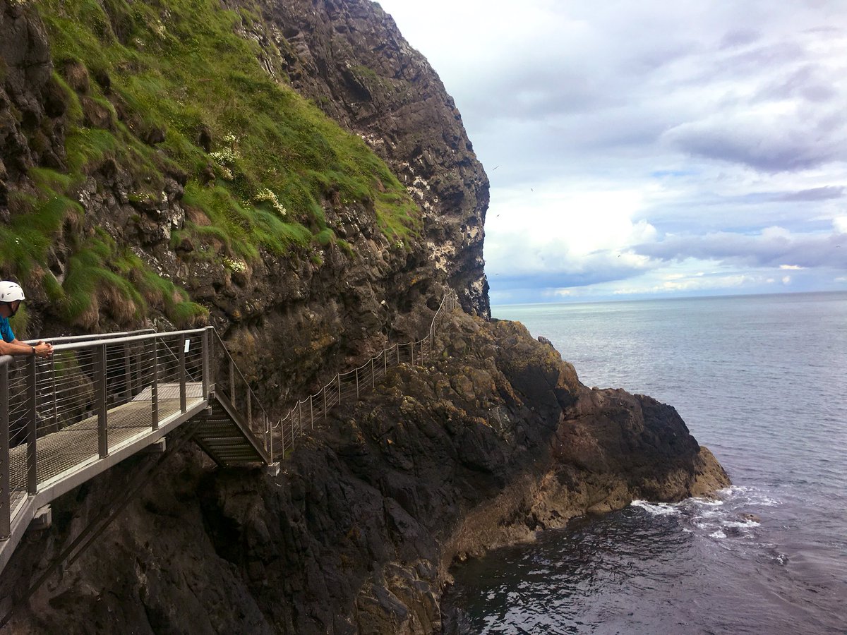 orla_howells's tweet photo. Great to finally see @TheGobbins (and hear all the wildlife) in person on Wednesday 🌊 🐣@AubreyAirwin https://t.co/c3Cxue3WuB