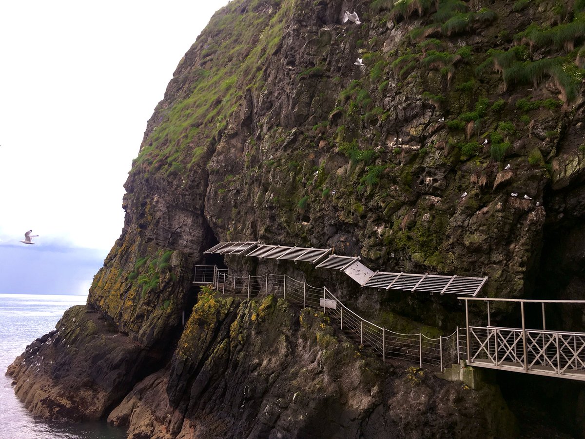 orla_howells's tweet photo. Great to finally see @TheGobbins (and hear all the wildlife) in person on Wednesday 🌊 🐣@AubreyAirwin https://t.co/c3Cxue3WuB