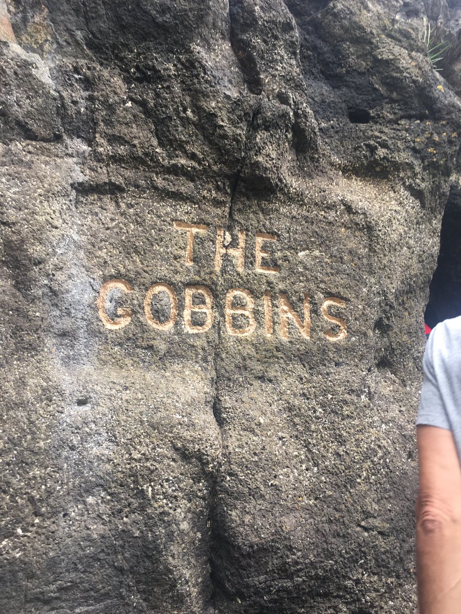 orla_howells's tweet photo. Great to finally see @TheGobbins (and hear all the wildlife) in person on Wednesday 🌊 🐣@AubreyAirwin https://t.co/c3Cxue3WuB