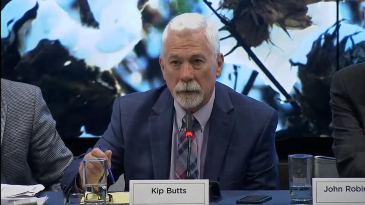 AGMarketNetwork's tweet photo. Wow! You gotta see Kip Butts comments about the cotton market conditions.
https://t.co/pQ7u0WZZ9T https://t.co/GvTA4KbznH