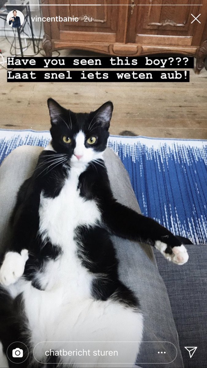 Dit schatje is vermist sinds woensdag aan Antwerpen/Eilandje. Als je hem gezien hebt stuur <a href="/BABMJB/">Bab MJ Buelens</a> of Vincent Banic zeker een berichtje!! Twitter doe je ding!! #sharingiscaring #lost #cat #antwerp