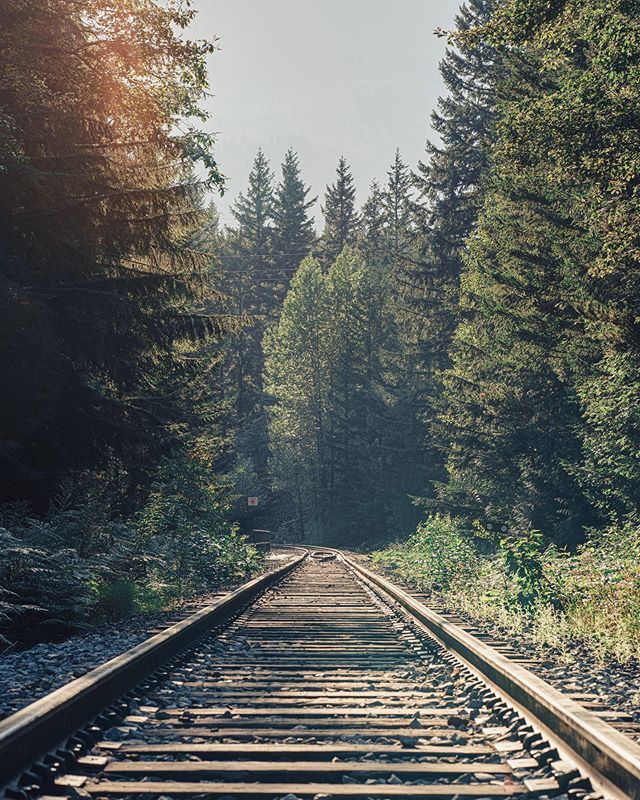 The paths we take in life leads us to where we need to be. The universe has its ways of having us where we need to be.
Don’t be afraid of making mistakes, that’s how we learn but be afraid of making them again. That’s where it becomes a habit, always try… ift.tt/2yNkX9f
