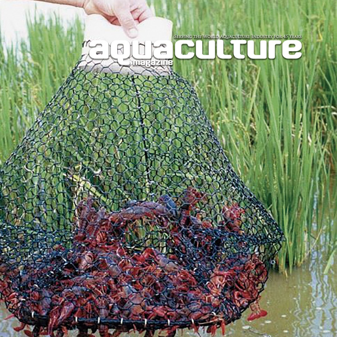 download Japanese Strategic