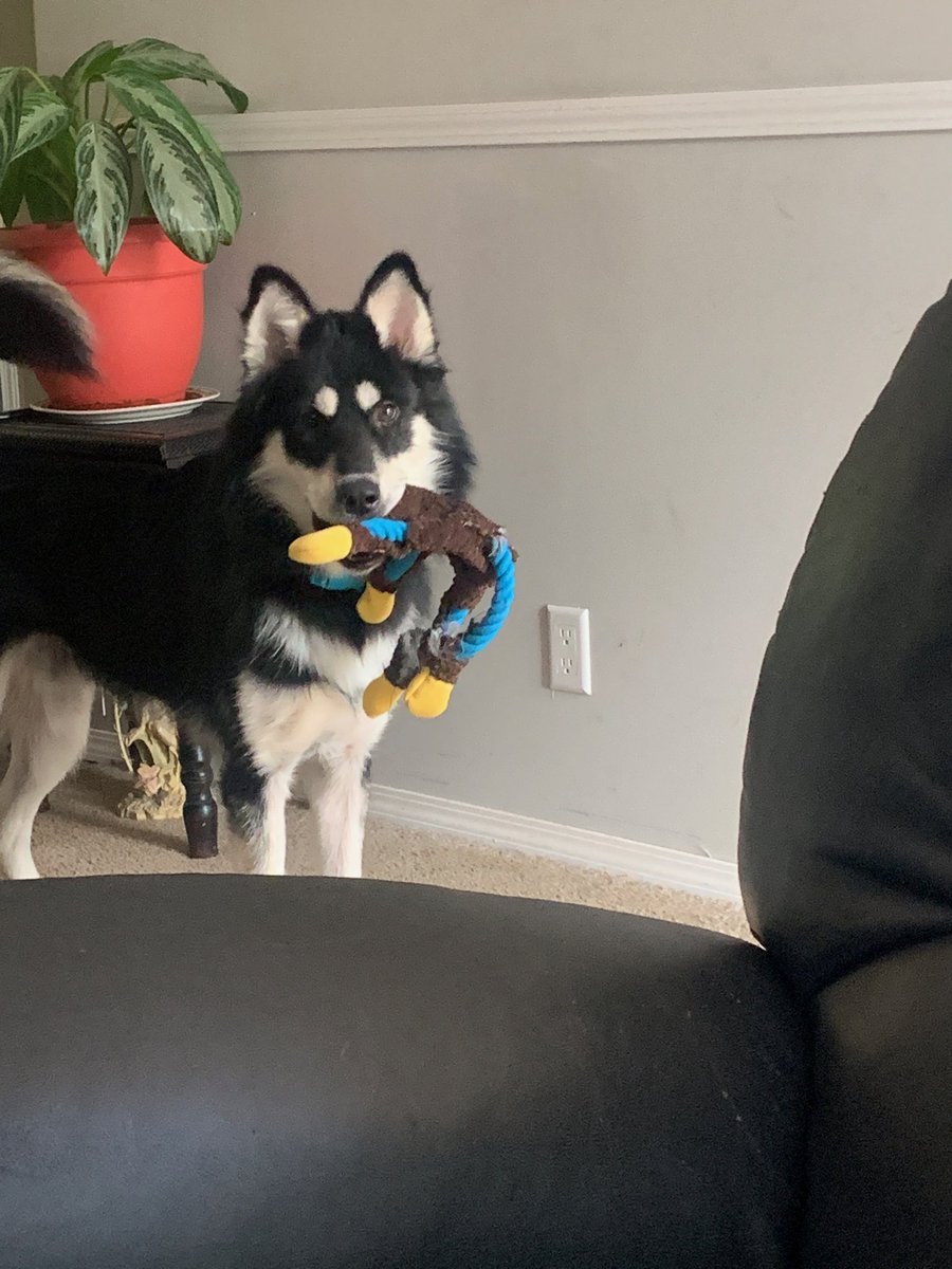 Erica Moreland tweet media