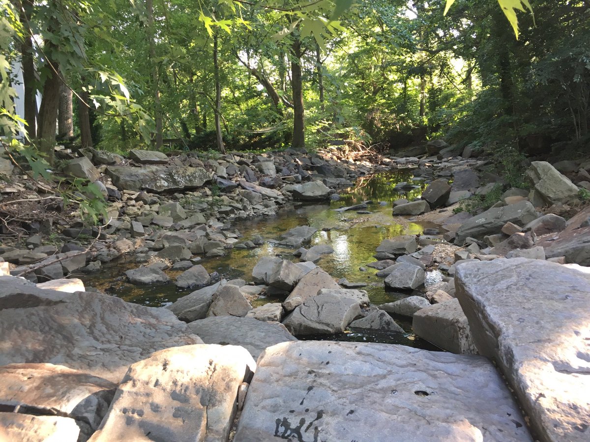 HonestHypocrite's tweet photo. Sitting in the creek. #Shellpot #netDE https://t.co/dBH1LUXXcS