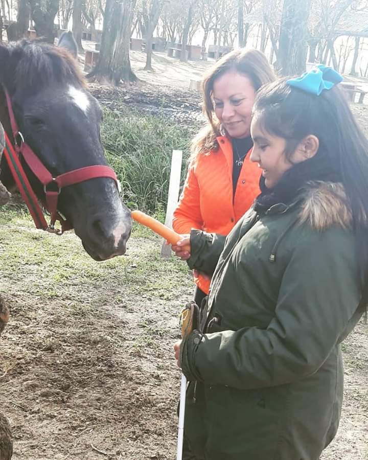 Hoy es el Día Internacional de la Equinoterapia. Esta actividad es de mucha importancia para las personas con problemas motrices, y enorgullece a Bella Vista brindar este servicio, siendo el único gratuito de la provincia.Gracias a <a href="/losprimerostuc/">Los Primeros TV</a> por la difusión constante.