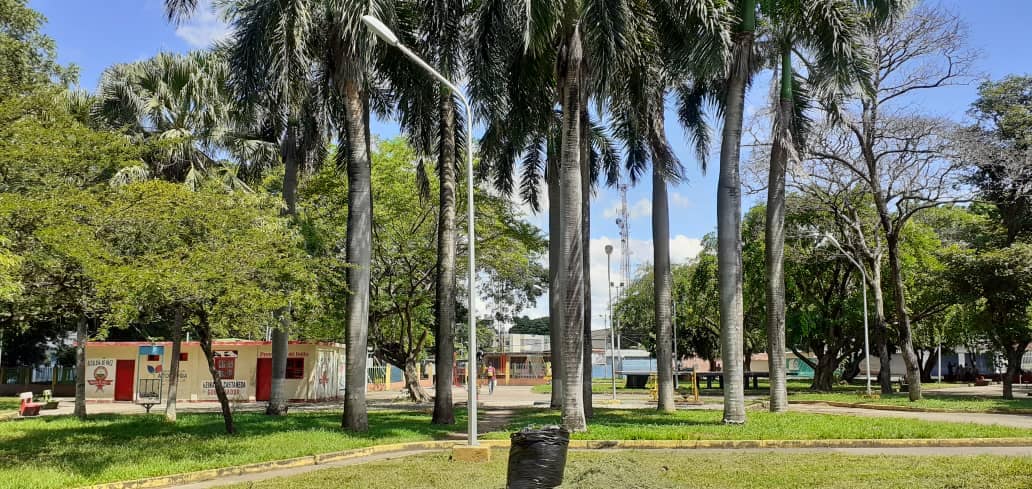 CercaDeTiVzla's tweet photo. 👉Durante este #CercaDeTi2019 decenas de espacios públicos fueron recuperados mediante las jornadas de limpieza🧹🧼

📍Guanare, Estado Portuguesa. https://t.co/NPz9eWzSDa