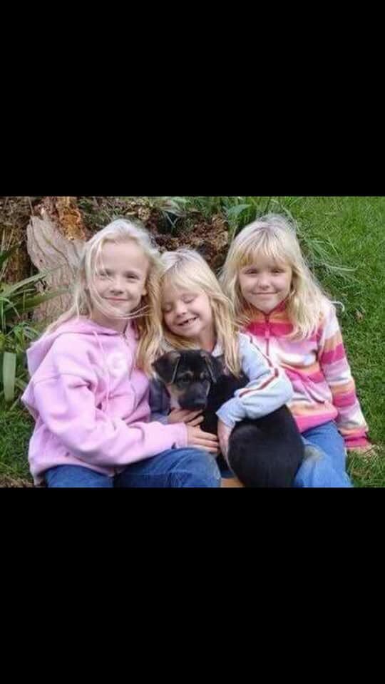 jllreston's tweet photo. @BillyBobSanderz First pic is my dog and I a few days before she passes away. The second is her right after we got her when I was like 5 and the last one is the tattoo I got for her after she passed away❤️ https://t.co/zycgCXzQEi