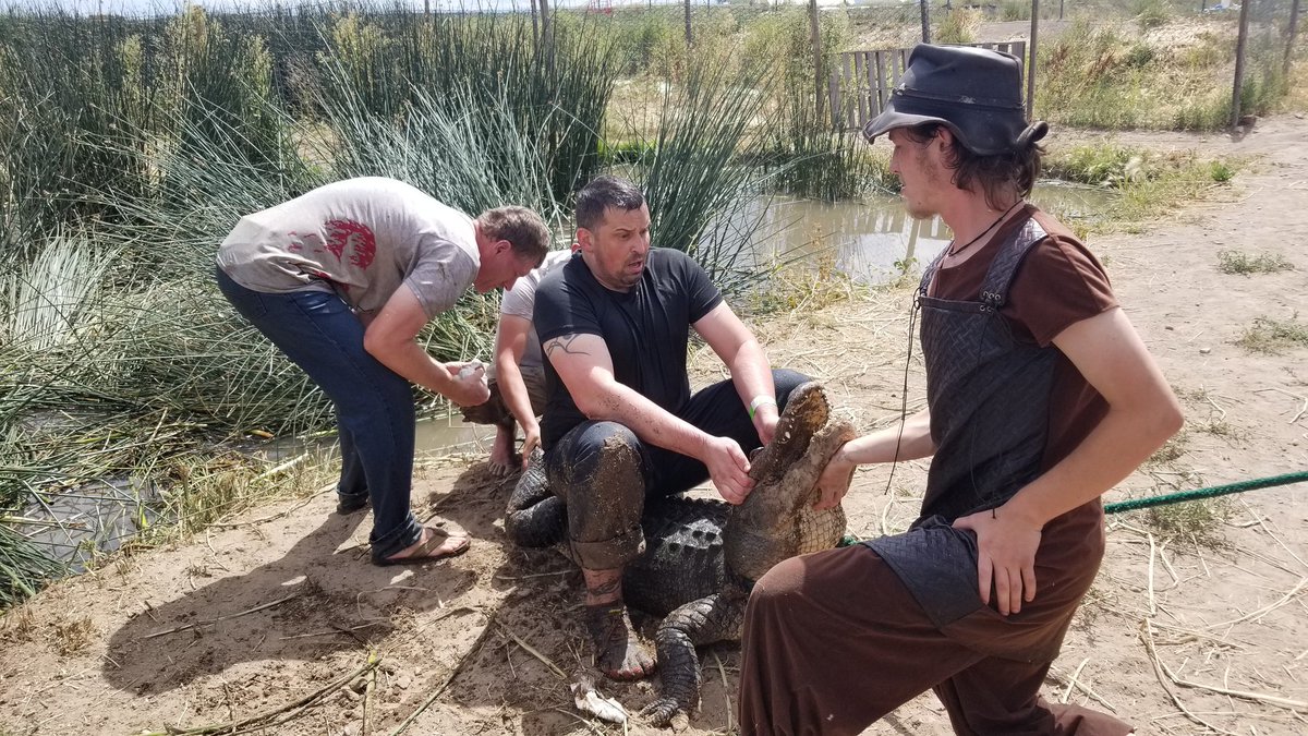 SwaggerjackProd's tweet photo. Today we begin reviewing &amp; editing our video from the 2019 #ColoradoGators #Gatorfest #Alligator handling competition.

#Swaggerjack Productions https://t.co/Ux9tFEPvWP