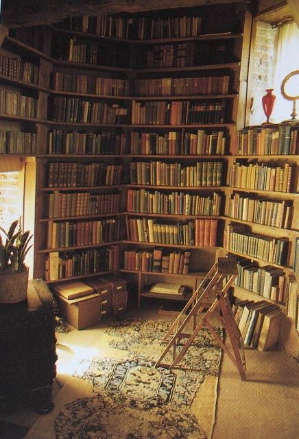 amirnadarevic's tweet photo. "Some people dream of fancy houses with big walk-in closets in their bedroom. 
I'd prefer a walk-in library in mine." #AMWriting #Books #AllenStorm #NationalBookLoversDay #WritersCommunity #Editing #WritersRoad https://t.co/TXjGuGmhuN