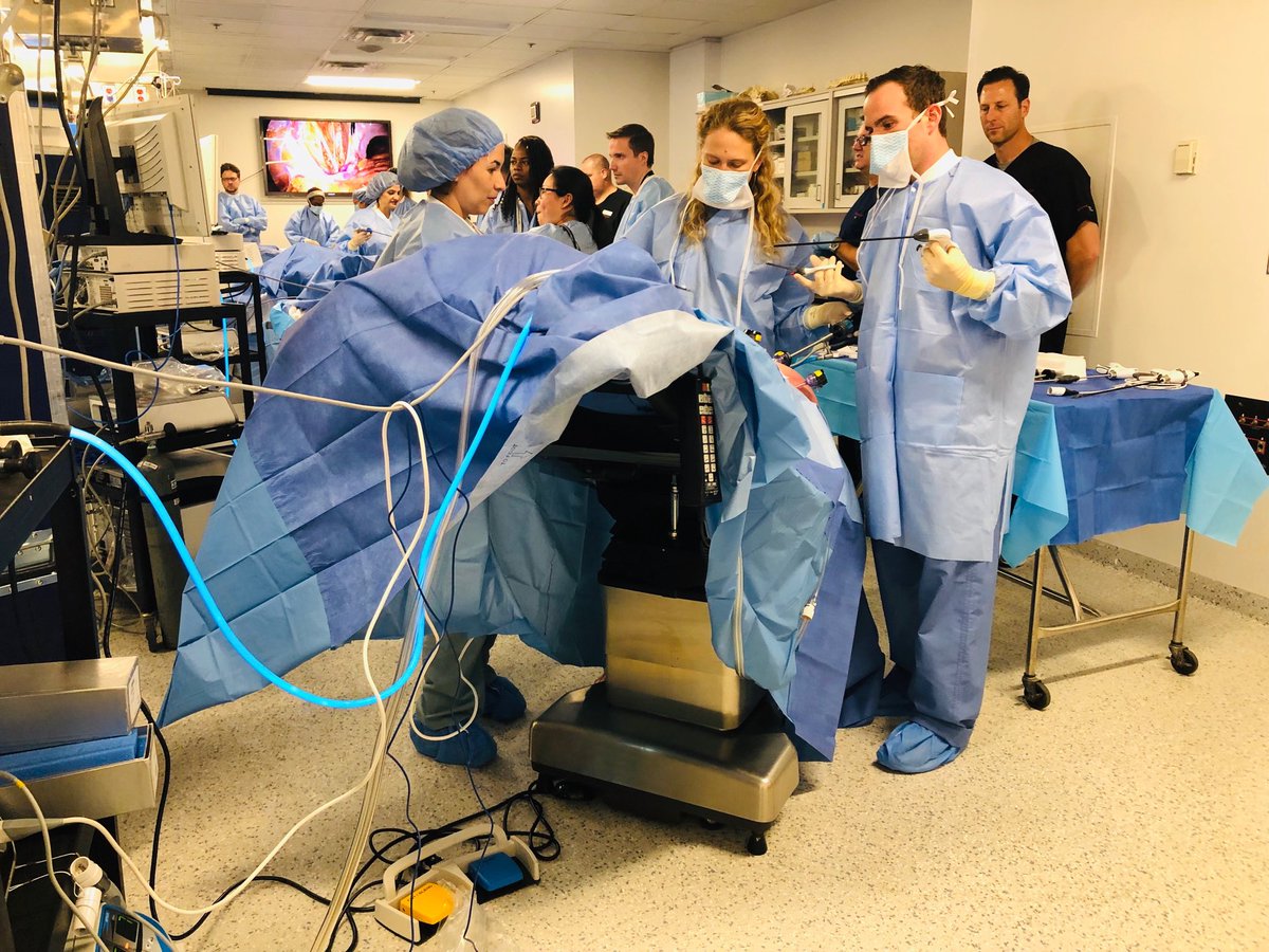 FMIGS1's tweet photo. Second Year Fellows Training in Dissection Lab. โฆ@AAGLโฉ #fmigsbootcamp https://t.co/nsGEz0nCF7