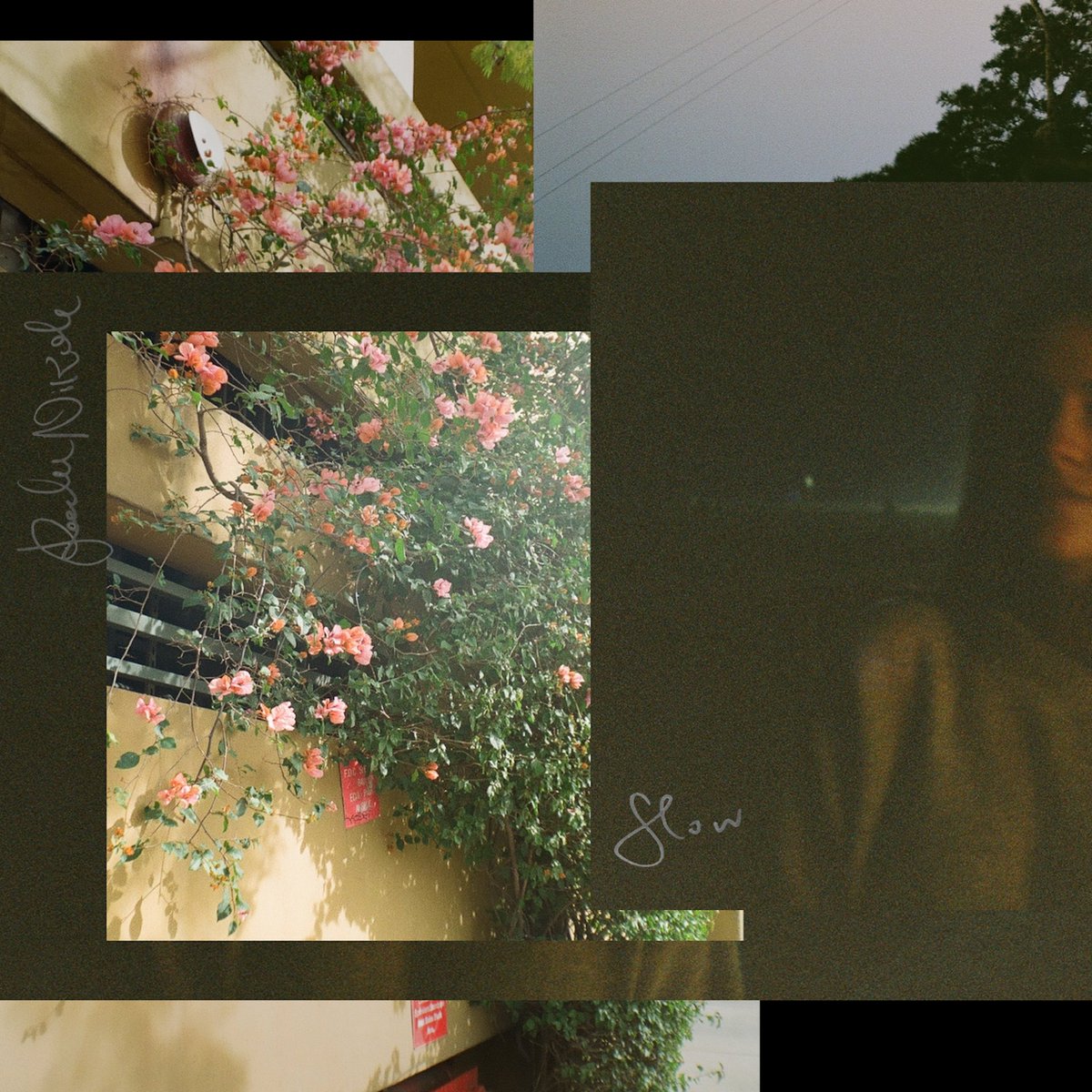 raeleenikole's tweet photo. new music out next week ahhhhhh here we go https://t.co/9FNuJ6i4Qv