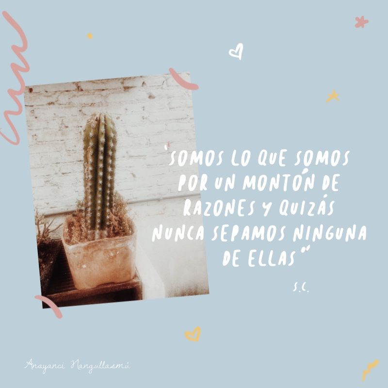 Anna Qink 🍙 tweet media