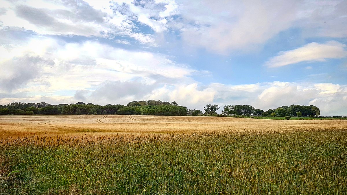 TomosNolanPhoto's tweet photo. Foulden, Scottish borders 

#fields #borders #scotland #sky #clouds #photography #landscape #trees https://t.co/0GU1VSppj7