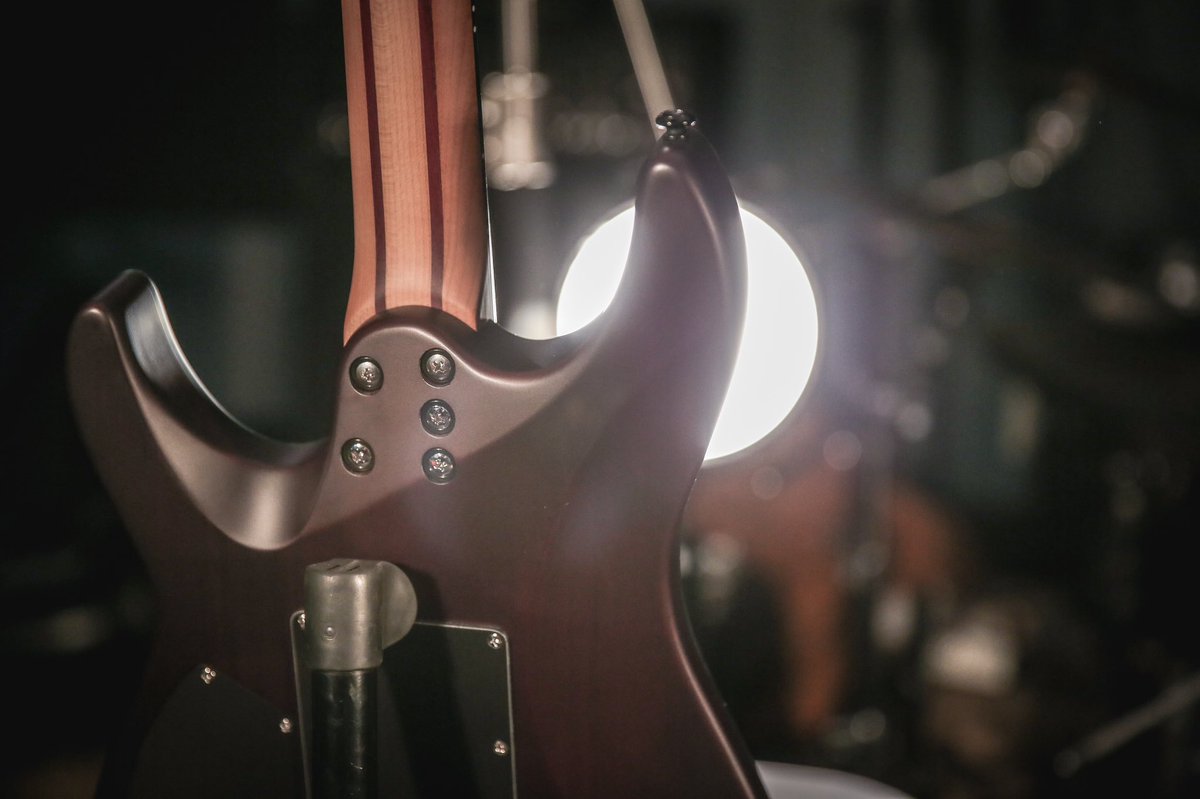 Schecter Guitars Official tweet media