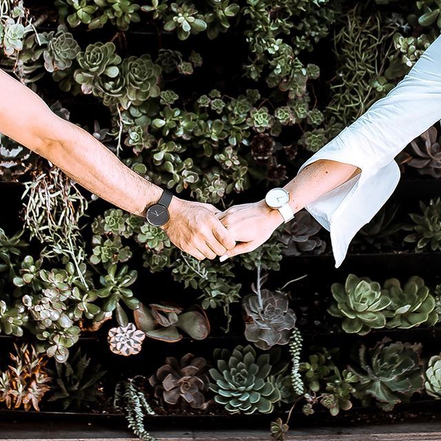 AbstraitLA's tweet photo. Friendships are timeless. ⁣
⁣
📸 @ashleighcahn_photography ⁣
⁣
#timeless #photography #timelessbarbers #timelessuniverse #timelessbeauty #timelessworld #handmade #timeless_unlimited #timelessmusic #timelesselegance #watches #watch #watchesofinstag… https://t.co/mmlbQyolqu https://t.co/geWcFrKErs