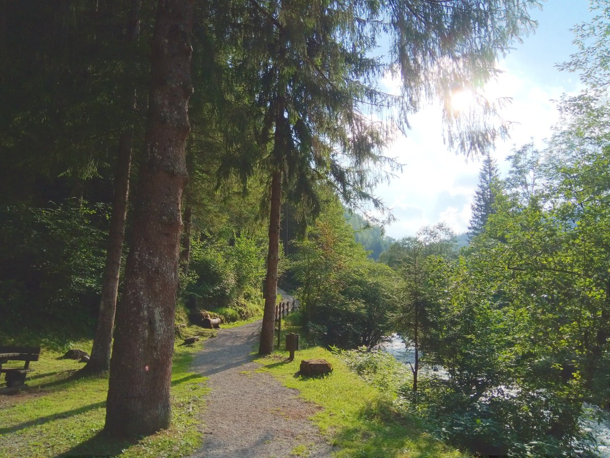 nirebu's tweet image. Remember to disconnect for your own health. Find time to recover and rest. You can find me here #Alps #fullstackhealth